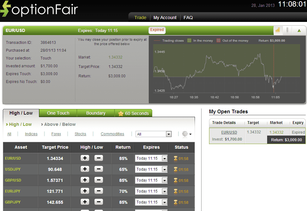 Successful Trade on Jan 28, 2013 eurusd